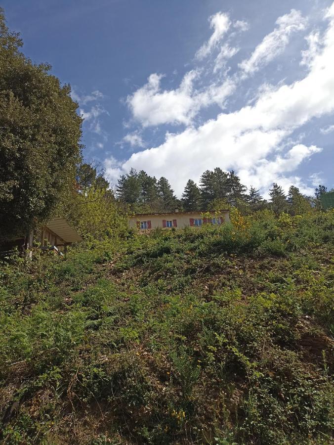 Instant De Tranquillite En Cevennes