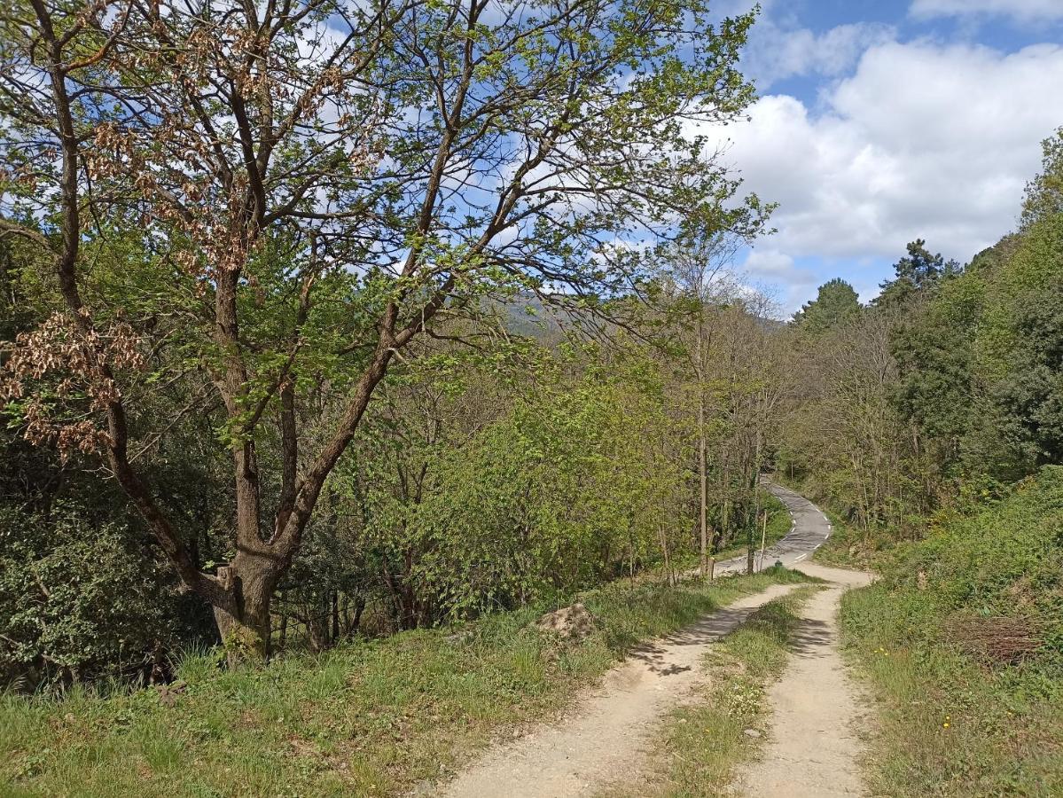 Apartamento Instant De Tranquillite En Cevennes *