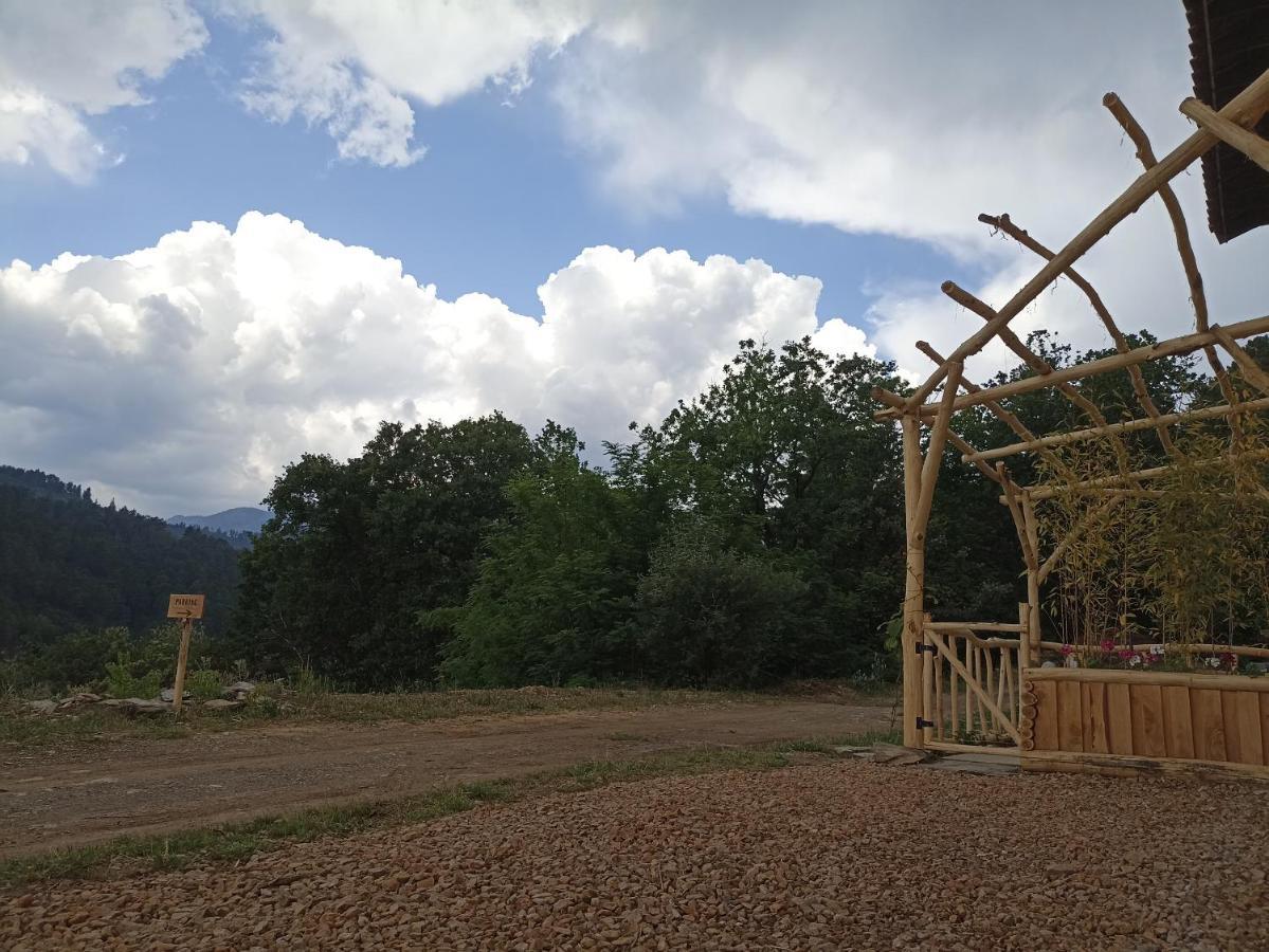 Instant De Tranquillite En Cevennes